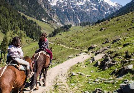 Kashmir Golden Trio Tour – Gulmarg, Sonmarg, Pahalgam