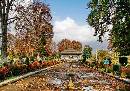 Amritsar–Srinagar Combo Tour from Chandigarh