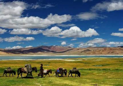 Ladakh Scenic Explorer – 9 Days