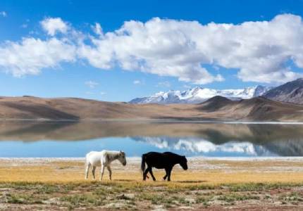 Ladakh Complete Discovery Tour